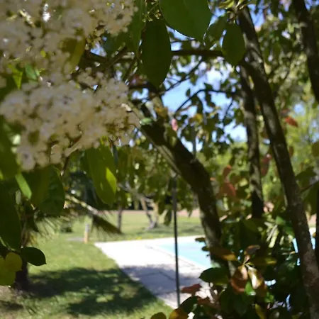 Bed and Breakfast La Maison De Thiré