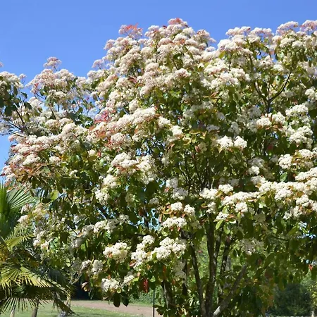 Bed and Breakfast La Maison De