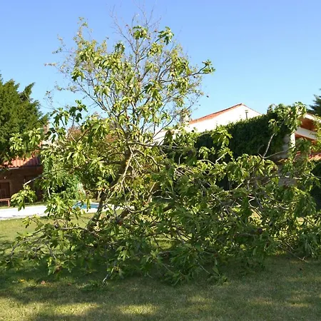 La Maison De Bed and Breakfast
