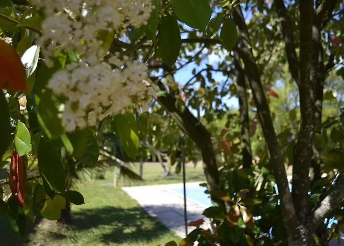 Bed & Breakfast La Maison De Thire