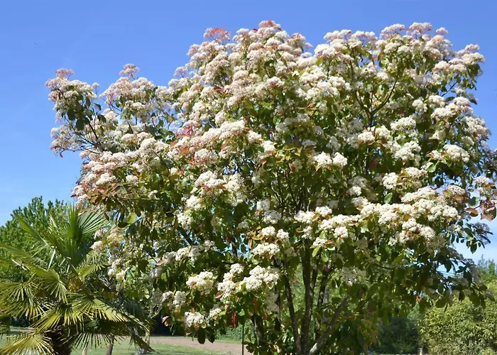Bed & Breakfast La Maison De