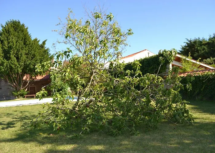 La Maison De Bed & Breakfast